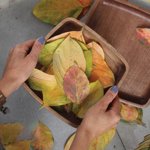 quadratische servierplatte 20cm